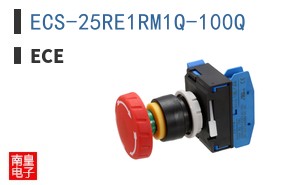 ECS-25RE1RM1Q-100Q|ECE