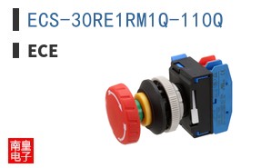 ECS-30RE1RM1Q-110Q|ECE