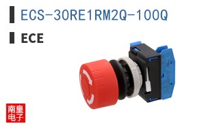 ECS-30RE1RM2Q-100Q|ECE