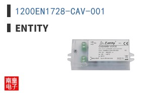 1200EN1728-CAV-001|ENTITY