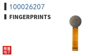 100026207|Fingerprints