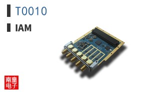 T0010|IAM