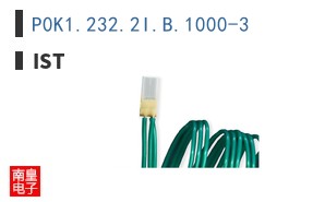 P0K1.232.2I.B.1000-3|IST