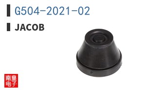 G504-2021-02|Jacob