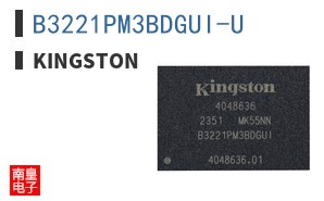 B3221PM3BDGUI-U|Kingston