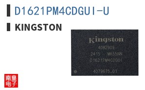 D1621PM4CDGUI-U|Kingston