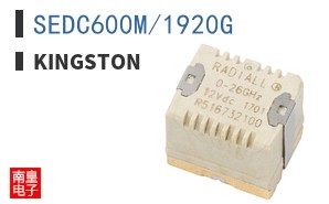 SEDC600M/1920G|Kingston