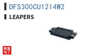 DFS300CU12I4W2|Leapers