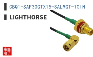 CBQ1-SAF3OGTX15-SALMGT-10IN|Lighthorse