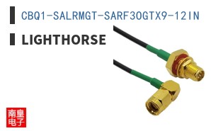 CBQ1-SALRMGT-SARF3OGTX9-12IN|Lighthorse