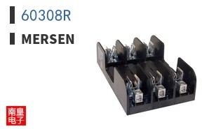 60308R|Mersen