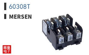 60308T|Mersen