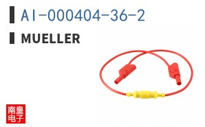 AI-000404-36-2|Mueller