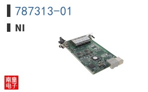 787313-01|NI