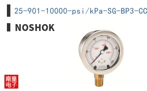 25-901-10000-psi/kPa-SG-BP3-CC