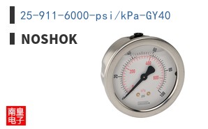 25-911-6000-psi/kPa-GY40|NOSHOK