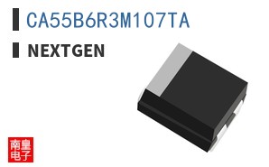 CA55B6R3M107TA|NextGen