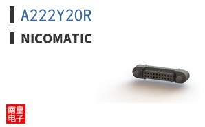 A222Y20R