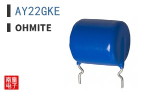 AY22GKE|Ohmite