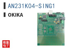 AN231K04-SING1|Okika