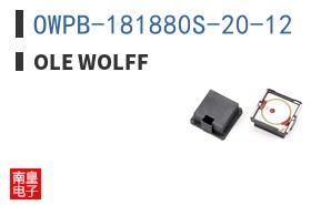OWPB-181880S-20-12|Ole Wolff