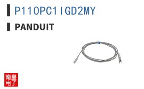 P110PC1IGD2MY|Panduit