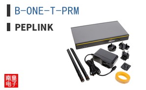 B-ONE-T-PRM|Peplink