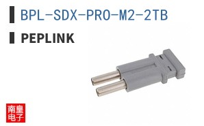BPL-SDX-PRO-M2-2TB|Peplink