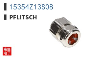 15354Z13S08|Pflitsch