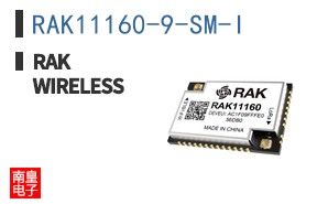 RAK11160-9-SM-I|RAKwireless