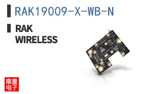 RAK19009-X-WB-N|RAKwireless