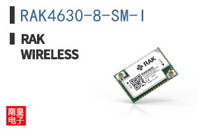 RAK4630-8-SM-I|RAKwireless
