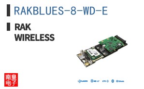 RAKBLUES-8-WD-E|RAKwireless