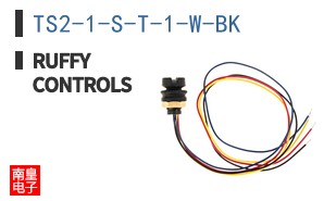 TS2-1-S-T-1-W-BK|Ruffy Controls