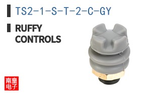 TS2-1-S-T-2-C-GY|Ruffy Controls
