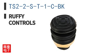TS2-2-S-T-1-C-BK|Ruffy Controls