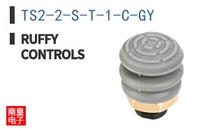 TS2-2-S-T-1-C-GY|Ruffy Controls