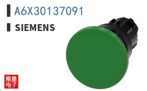 A6X30137091|SIEMENS