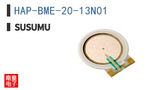 HAP-BME-20-13N01|Susumu