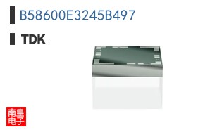 B58600E3245B497|TDK