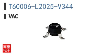 T60006-L2025-V344|VACUUMSCHMELZE