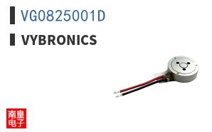 VG0825001D|Vybronics