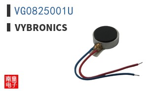 VG0825001U|Vybronics
