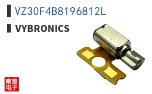 VZ30F4B8196812L|Vybronics