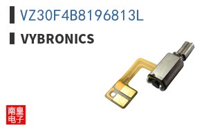 VZ30F4B8196813L|Vybronics