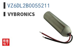 VZ6DL2B0055211|Vybronics