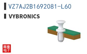 VZ7AJ2B1692081-L60|Vybronics