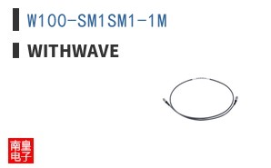 W100-SM1SM1-1M|WITHWAVE
