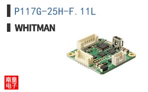 P117G-25H-F.11L|Whitman Controls