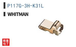 P117G-3H-K31L|Whitman Controls